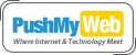 PushMyWeb Logo