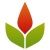 Phoenix Steve Mapua SEO Logo