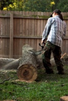 Lumberjack Tree Service, Dallas