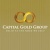 Capital Gold Group Logo