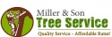 Miller Son Tree Service Logo