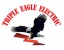 Triple Eagle Electric Logo