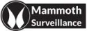 Mammoth Surveillance Camera Systems Logo
