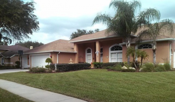 AAP Landscaping Tampa
