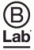 Brooklyn Labs Logo