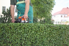 Pearland Tree Care, Pearland